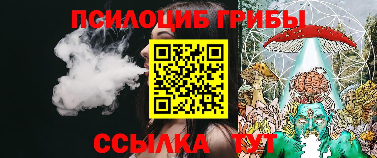 Видное  Псилоцибиновые грибы Psilocybine cubensis  Вход с VPN  Псилоцибиновые грибы GOLDEN TEACHER 